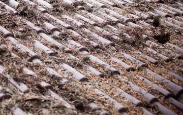 Kirkton Of Tealing roof cleaning companies