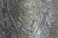 Kirkton Of Tealing fibreglass roof work